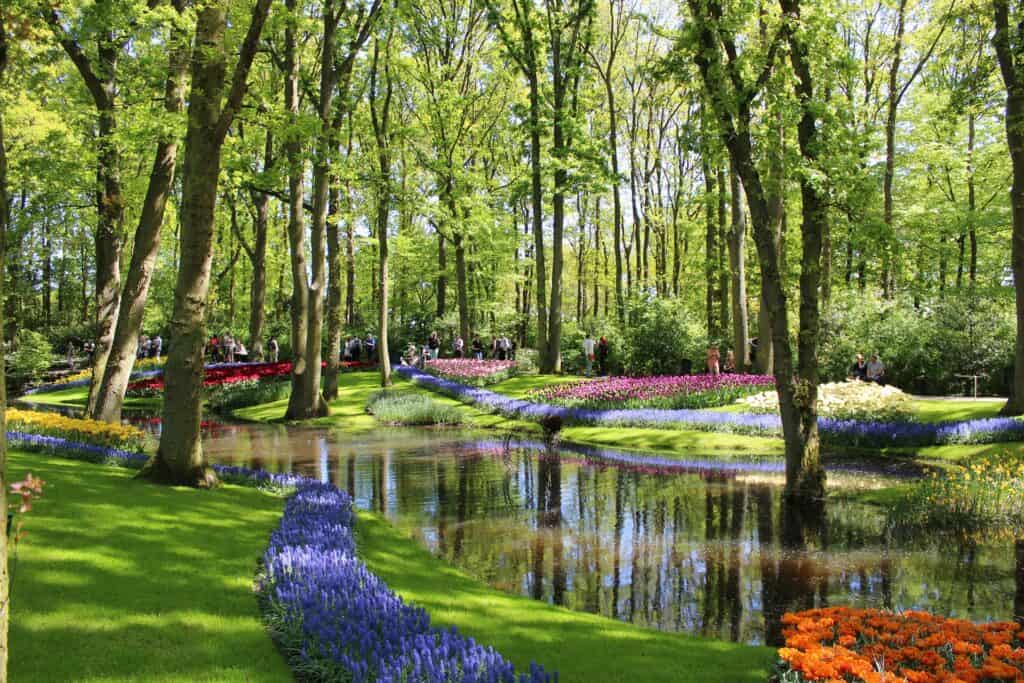 billede af keukenhof blomsterhave i amsterdam