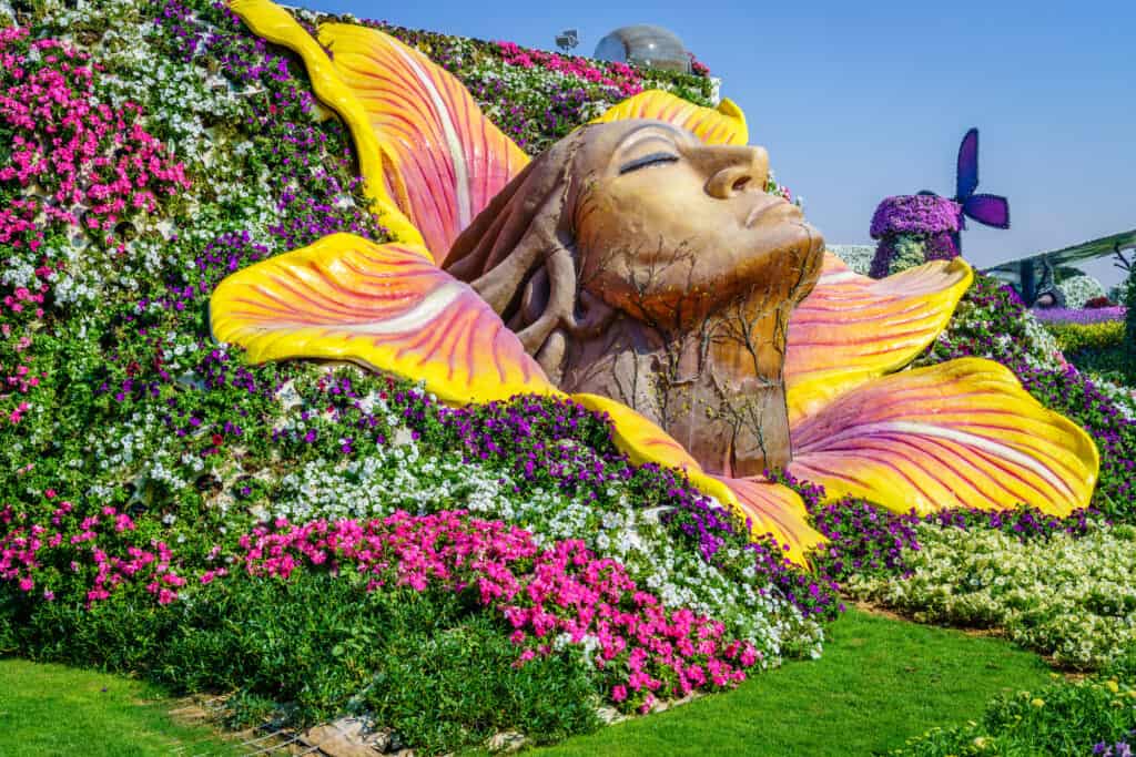 smukt billede fra en solbeskinnet dag i dubai miracle garden i uae